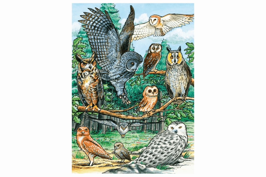 35 Piece Tray Puzzles (Multiple Themes)