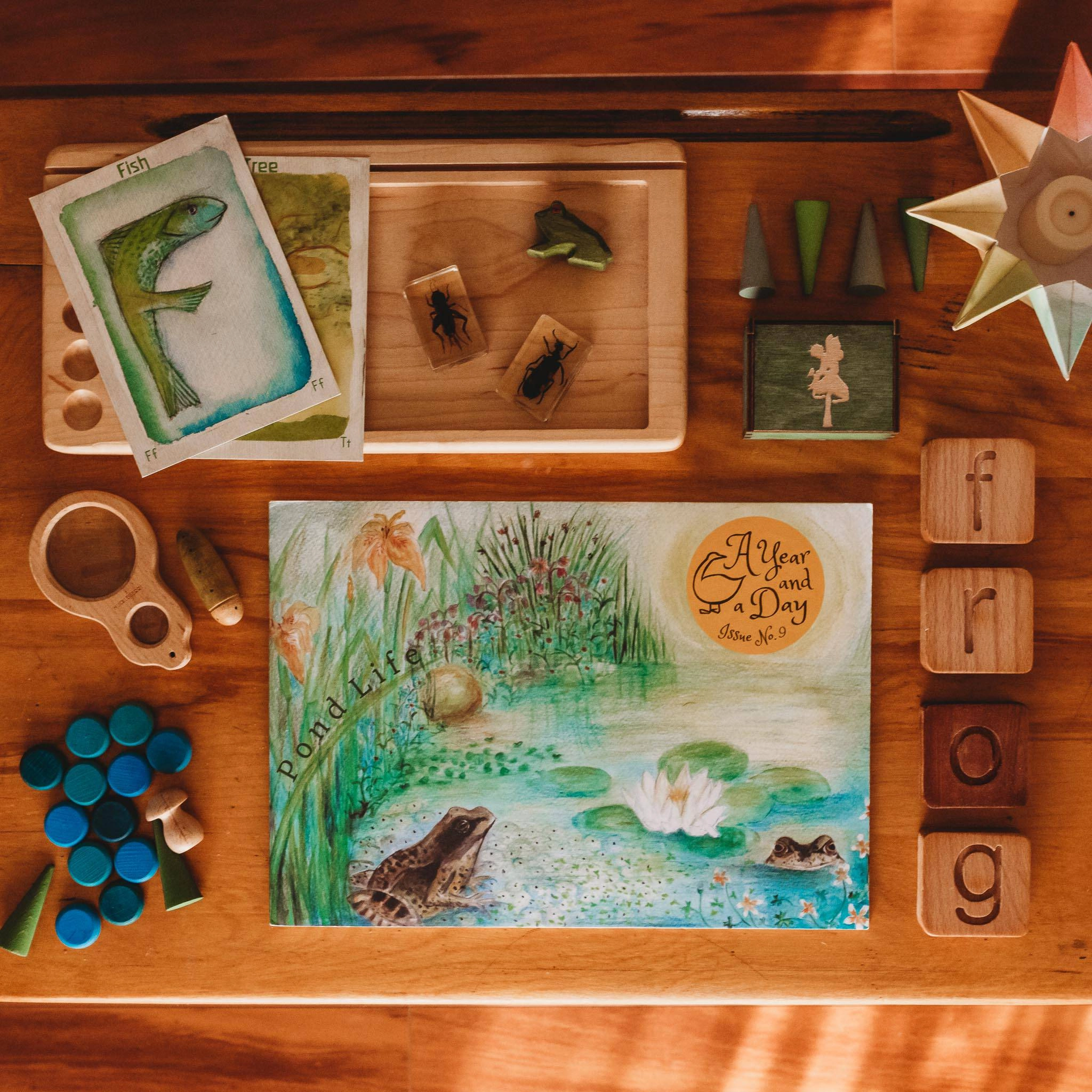 A Year and a Day Magazine - Issue 9: Pond Life