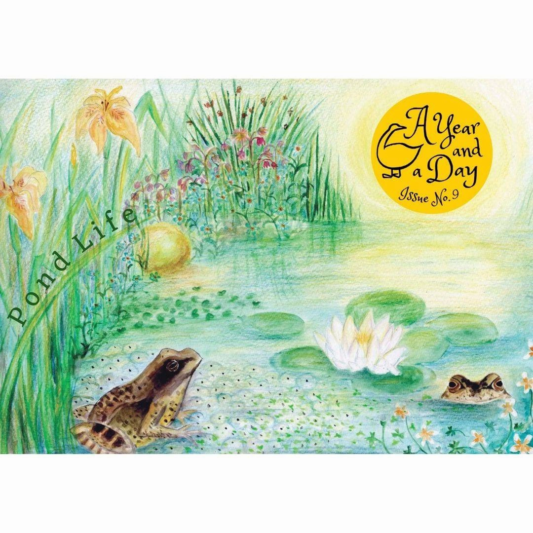 A Year and a Day Magazine - Issue 9: Pond Life