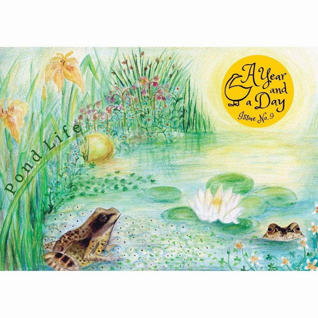 A Year and a Day Magazine - Issue 9: Pond Life