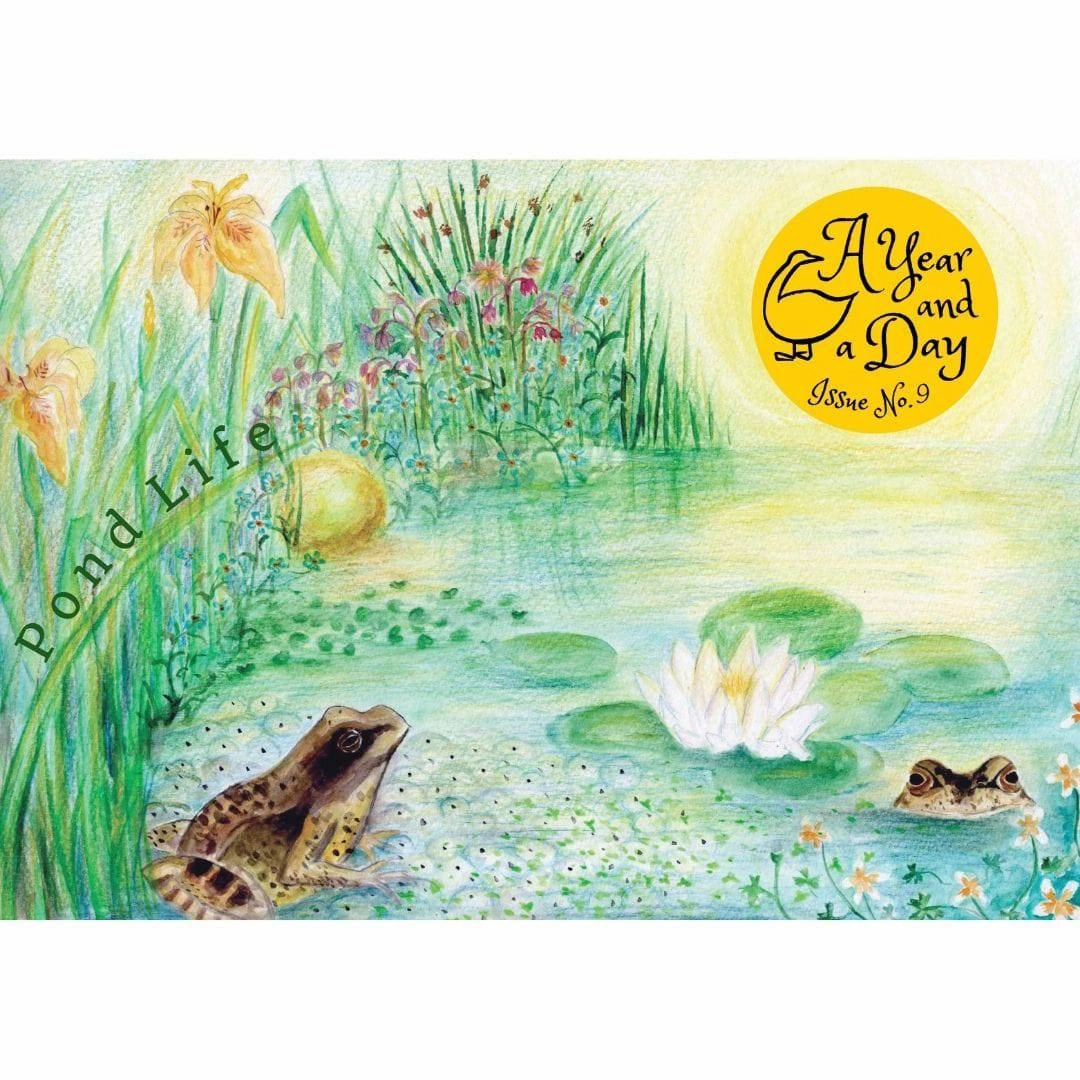 A Year and a Day Magazine - Issue 9: Pond Life