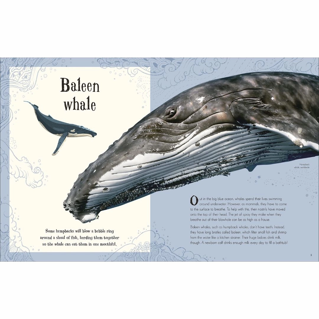 An Anthology of Intriguing Animals