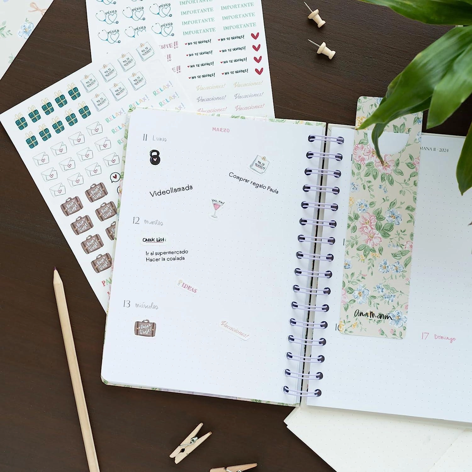 Ana Marin 2023/2024 A5 Academic Diary Week To View 12 Months