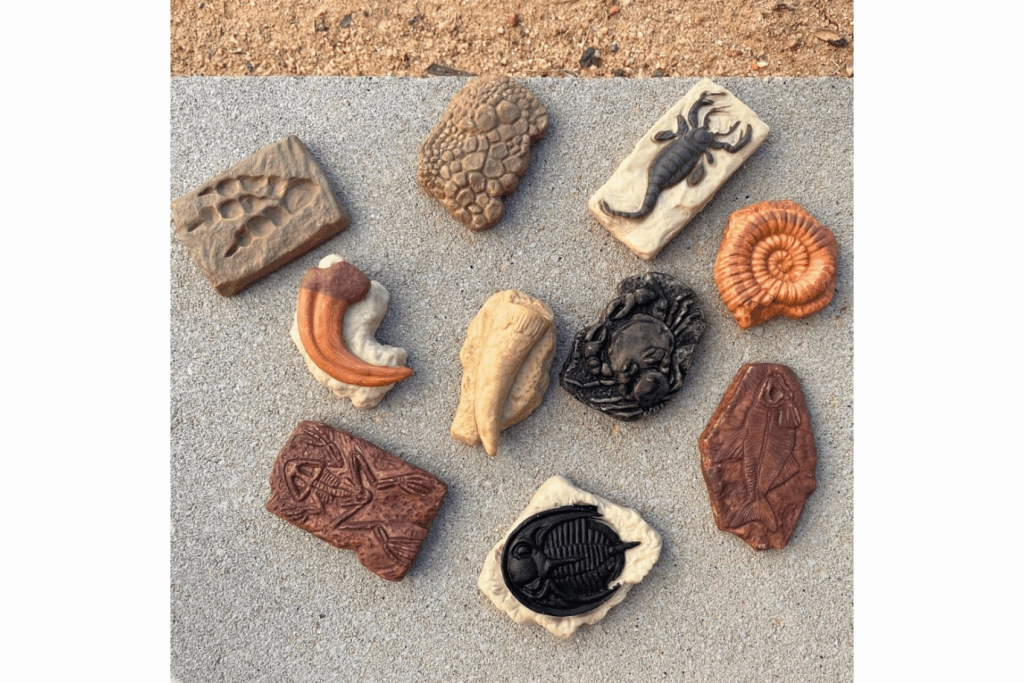 Ancient Fossils Toob