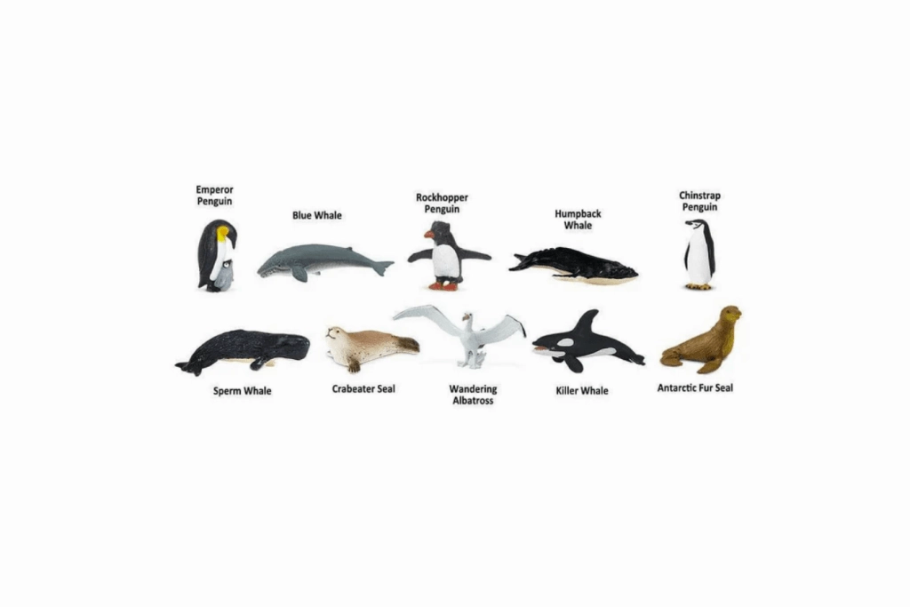 Antarctica Toob