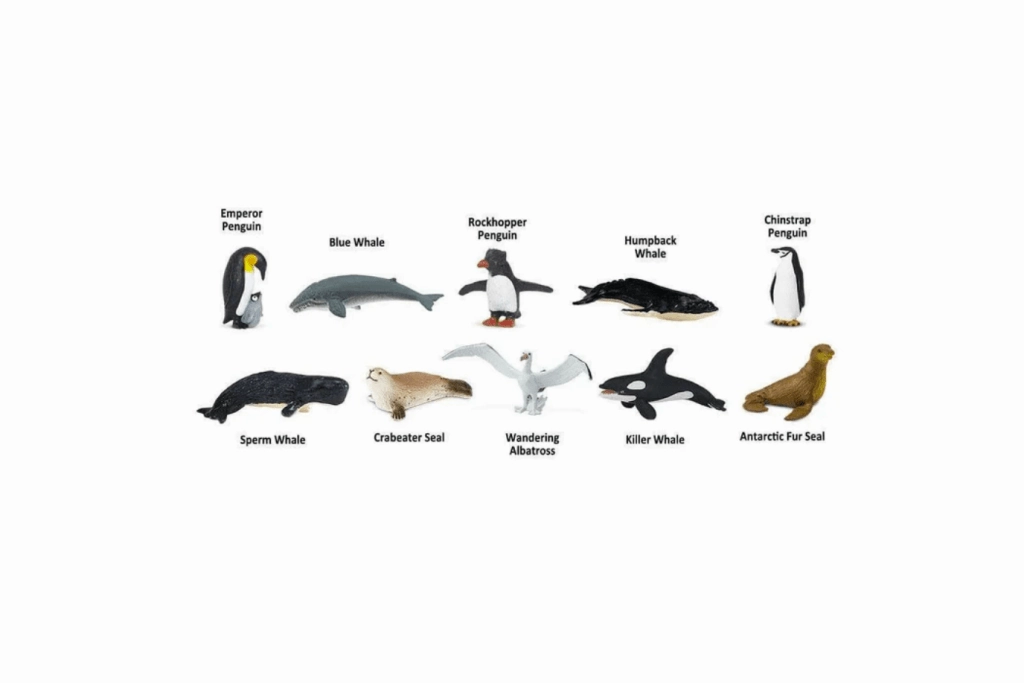 Antarctica Toob