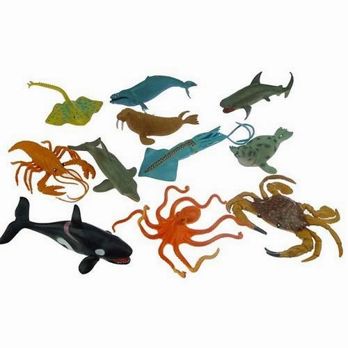 Aquatic Collection