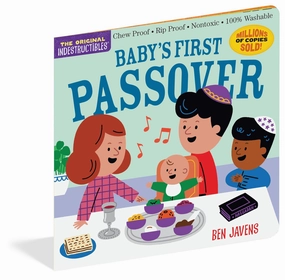 Babys First Passover Indestructible Book