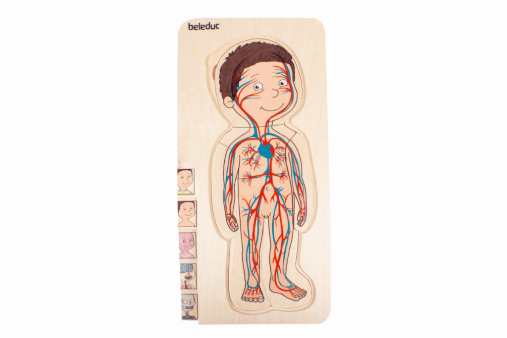 Beleduc Boy Layer Puzzle