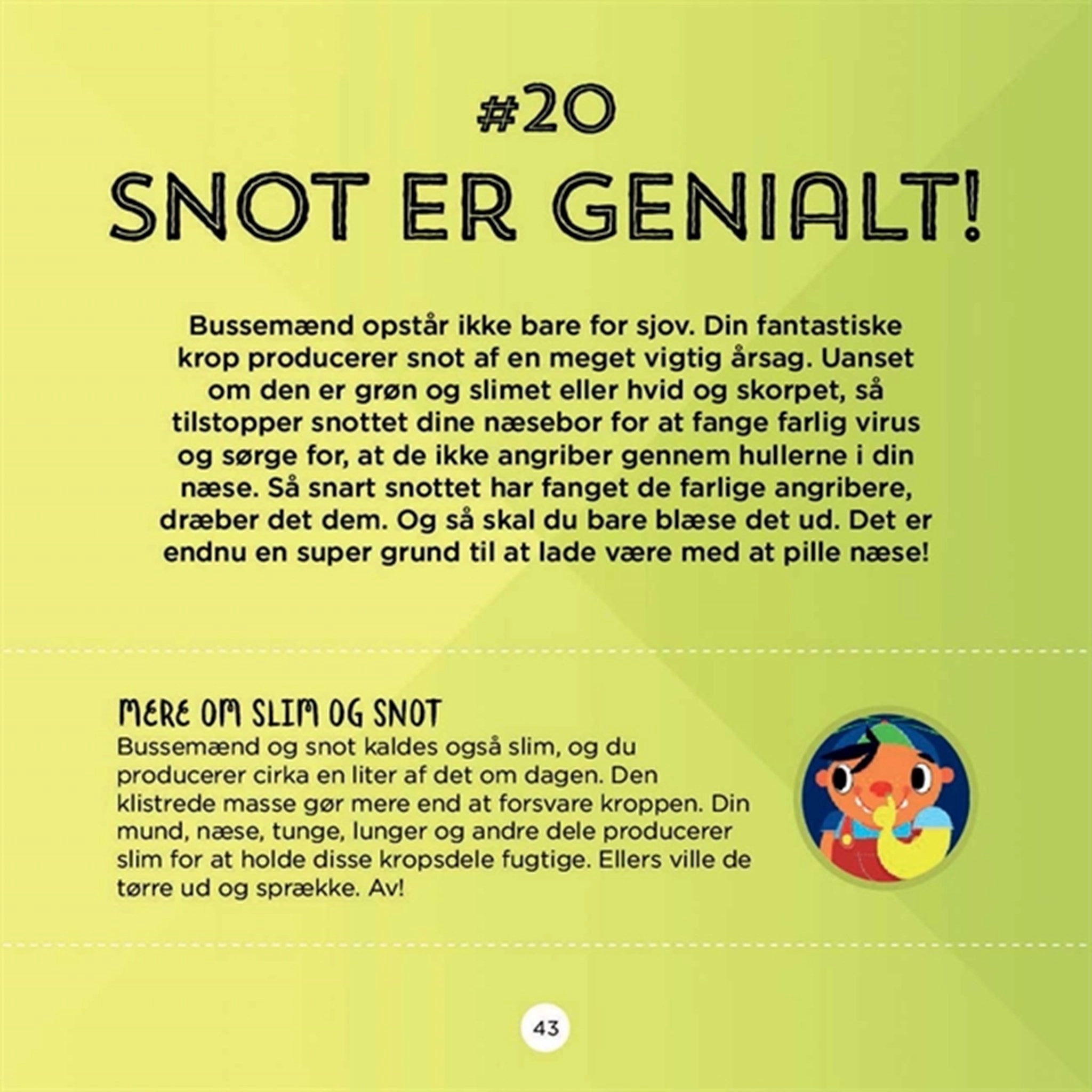 Bolden 50 Gakkede Ting Mennesker Gr