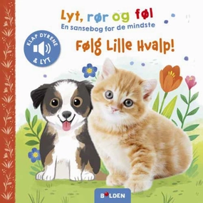 Bolden Lyt, Rr Og Fl: Flg Lille Hvalp