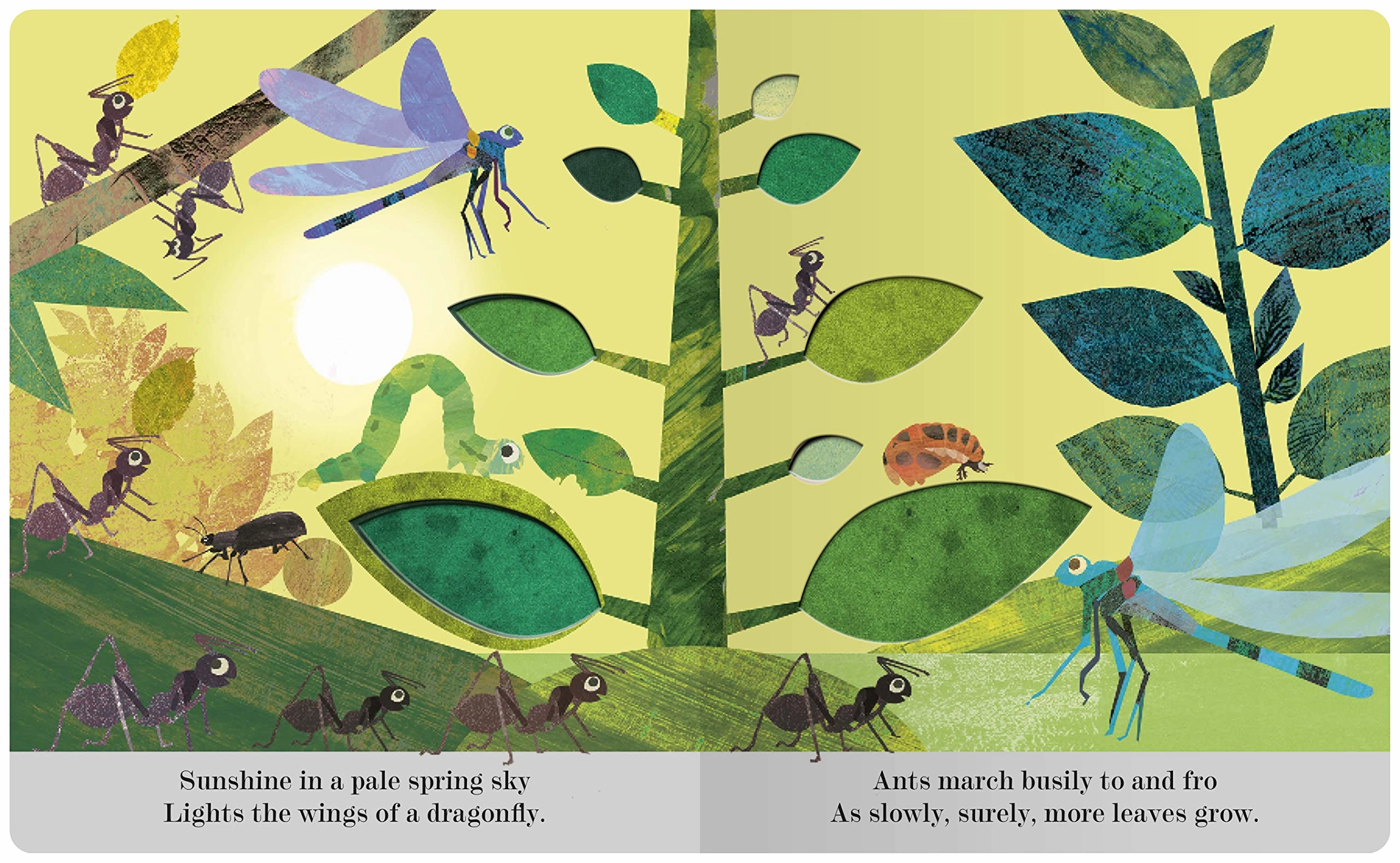 Bugs: A Peek-Through Picture Book