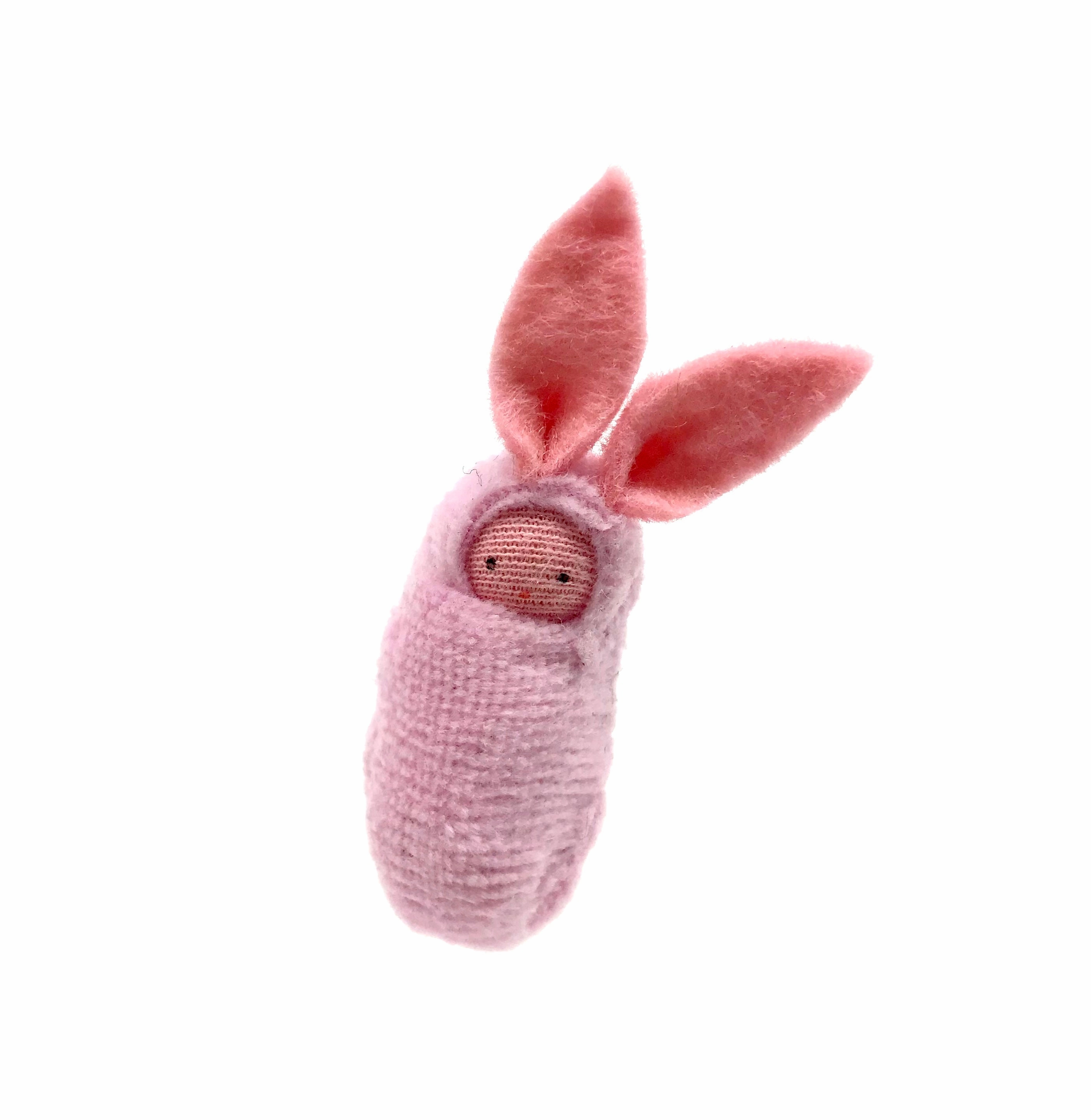Bunny Rabbit Babies