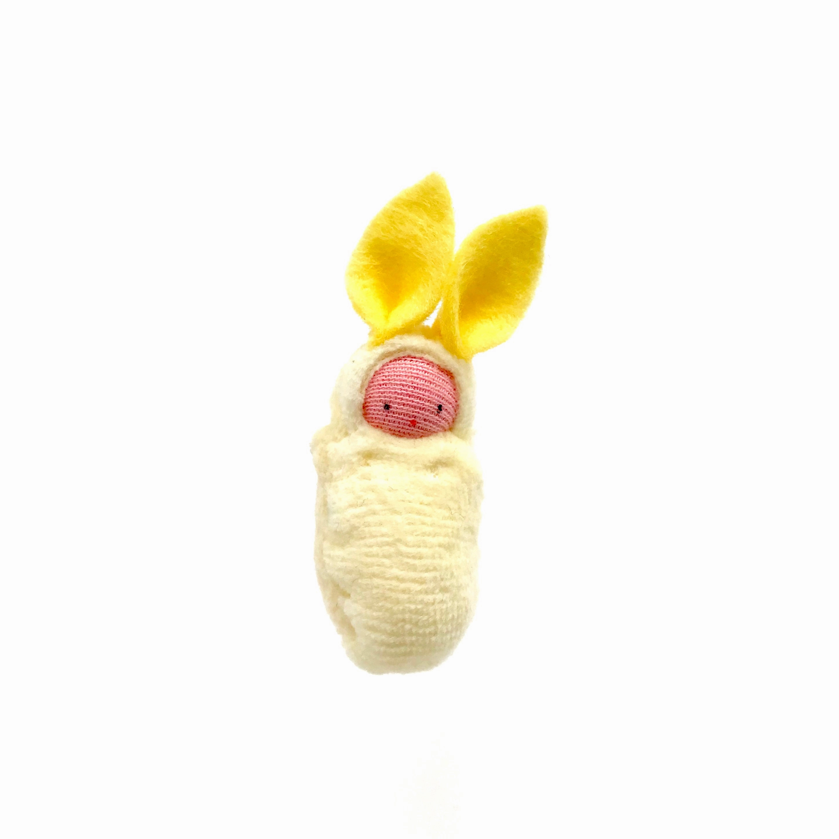 Bunny Rabbit Babies
