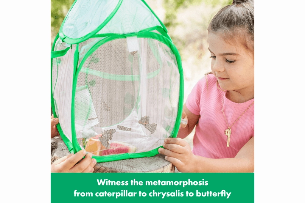 Butterfly Habitat