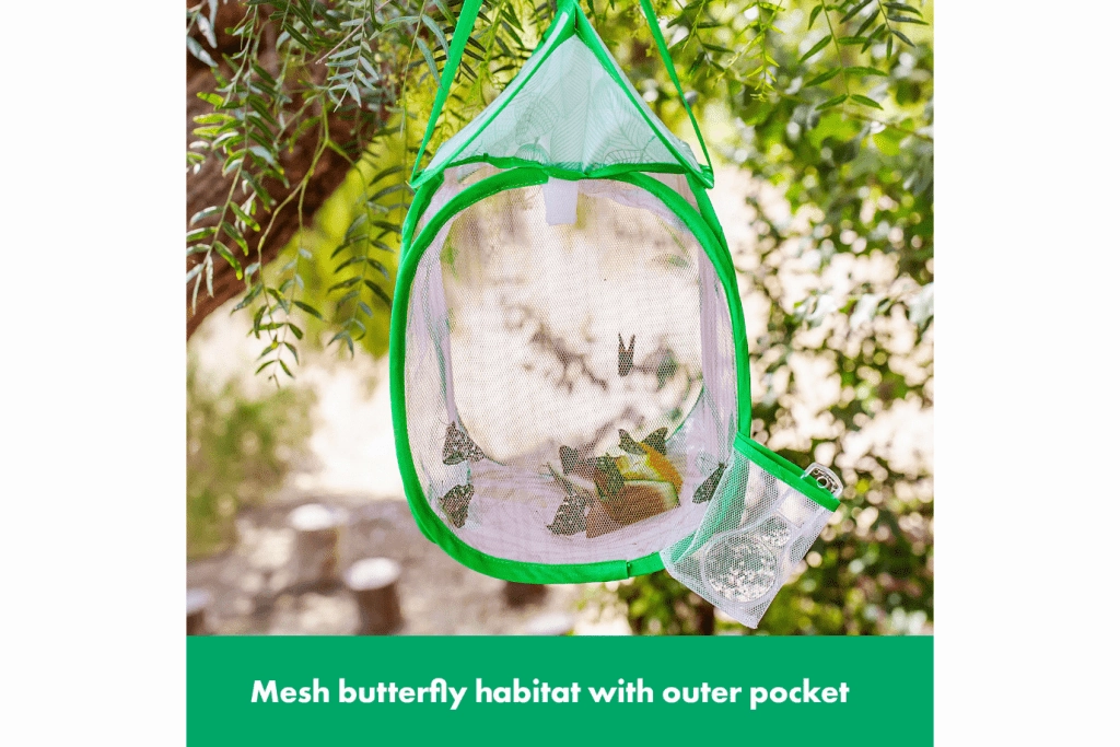 Butterfly Habitat