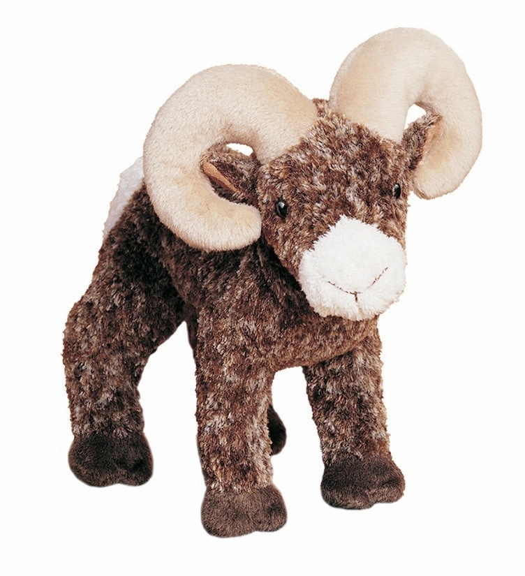 Climber Big Horn Sheep