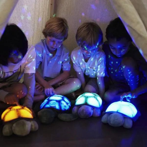 Cloud b Twilight Ocean Projector - Turtle Purple Night Light Soother