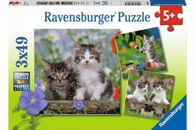 Cuddly Kittens - 3 x 49pc Puzzles