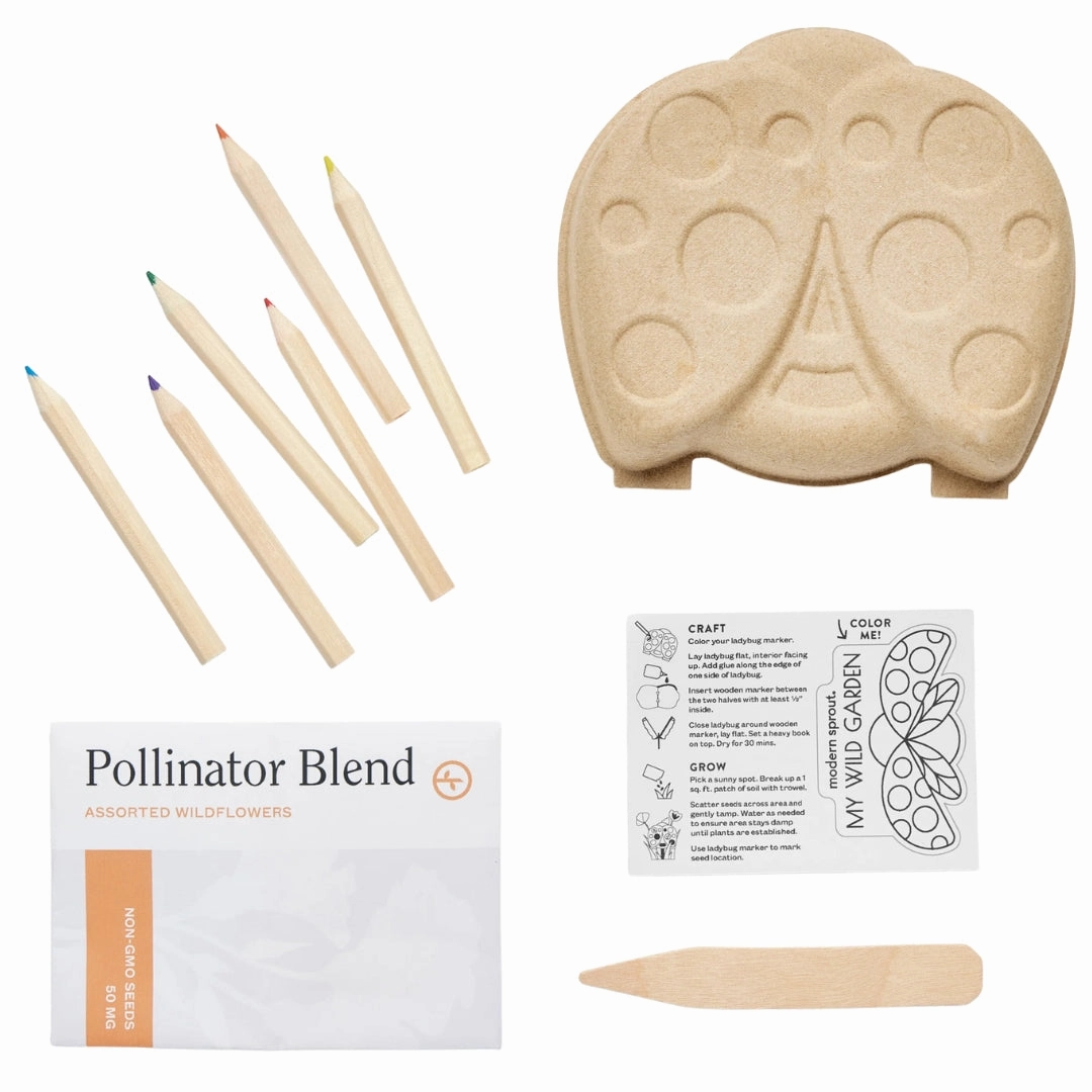 Curious Critter Ladybug Garden Kit