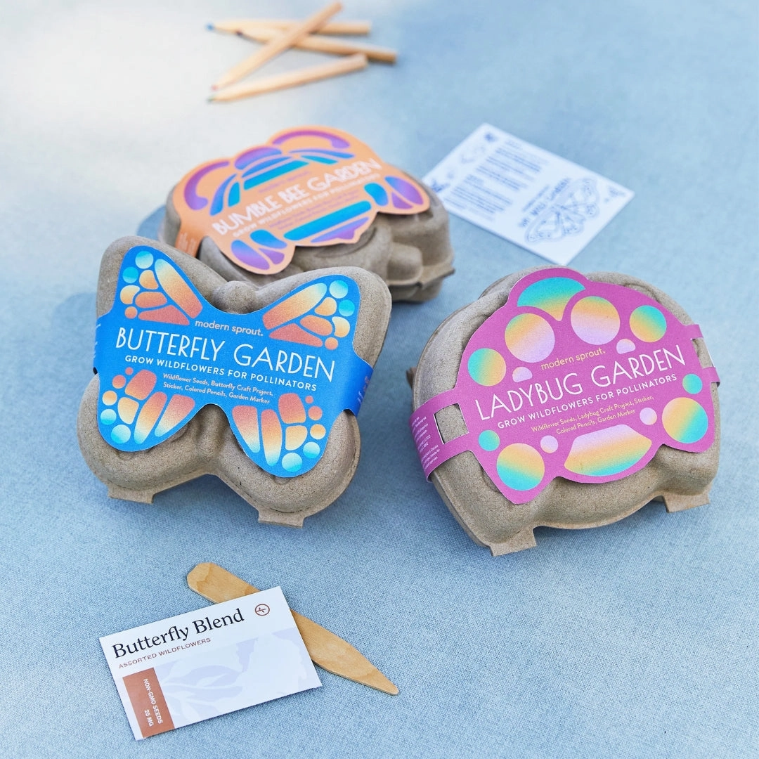 Curious Critter Ladybug Garden Kit