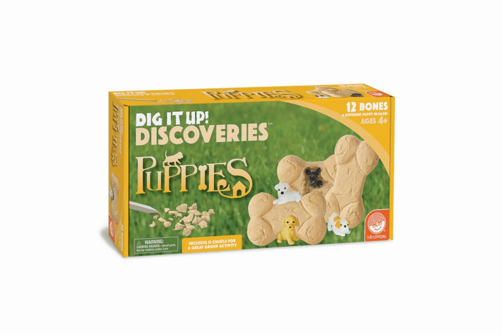 Dig It Up! Eggs