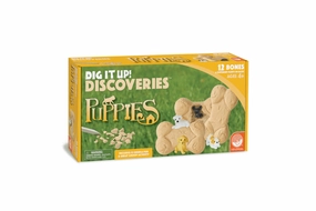 Dig It Up! Eggs