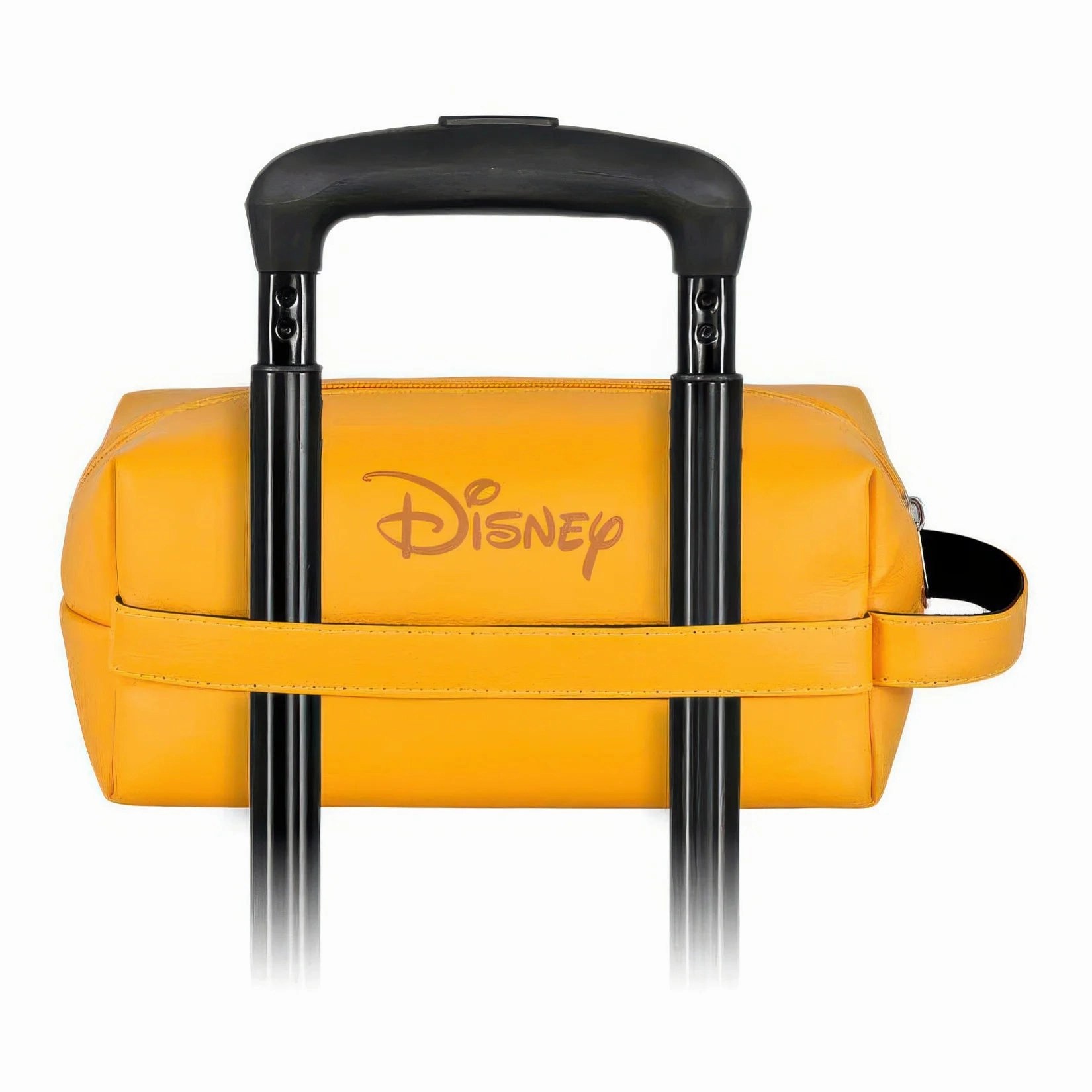 Disney the Lion King Vanity Case