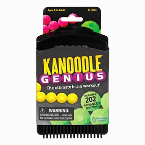 Educational Insights Kanoodle Genius Game