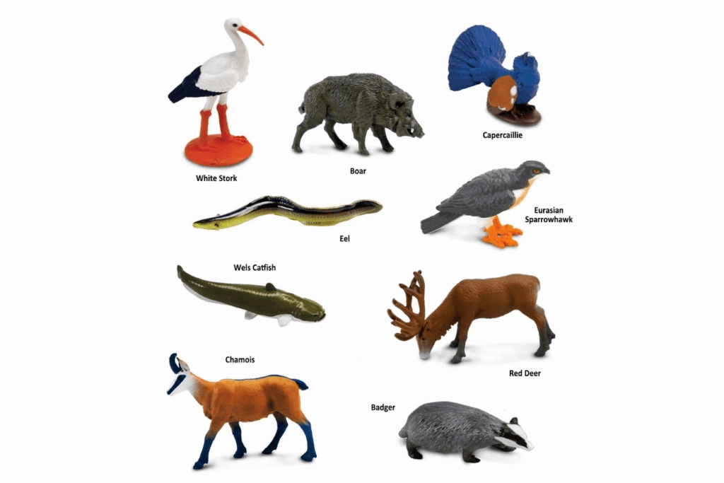 European Animals Toob