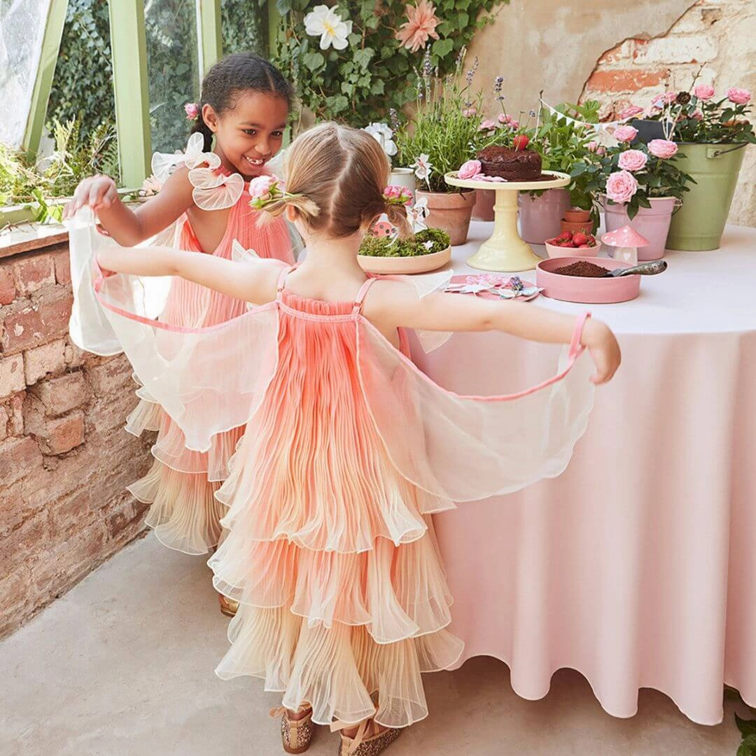 Fancy Fairy Costume