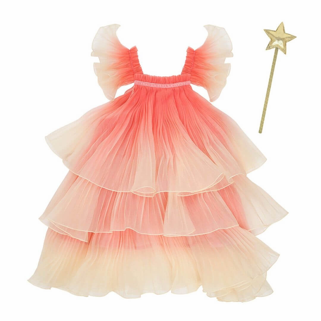 Fancy Fairy Costume