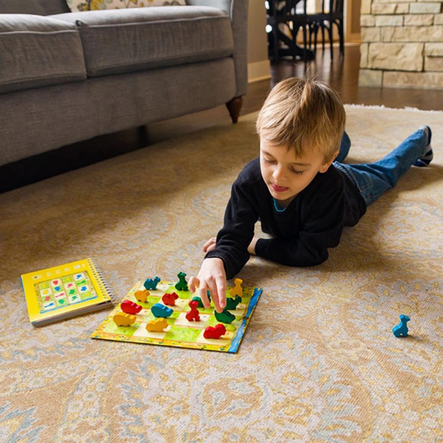 Fat Brain Toys - AnimaLogic Brainteaser Game
