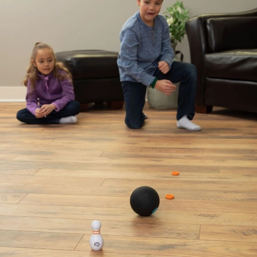 Fat Brain Toys - Curve Bowl Game