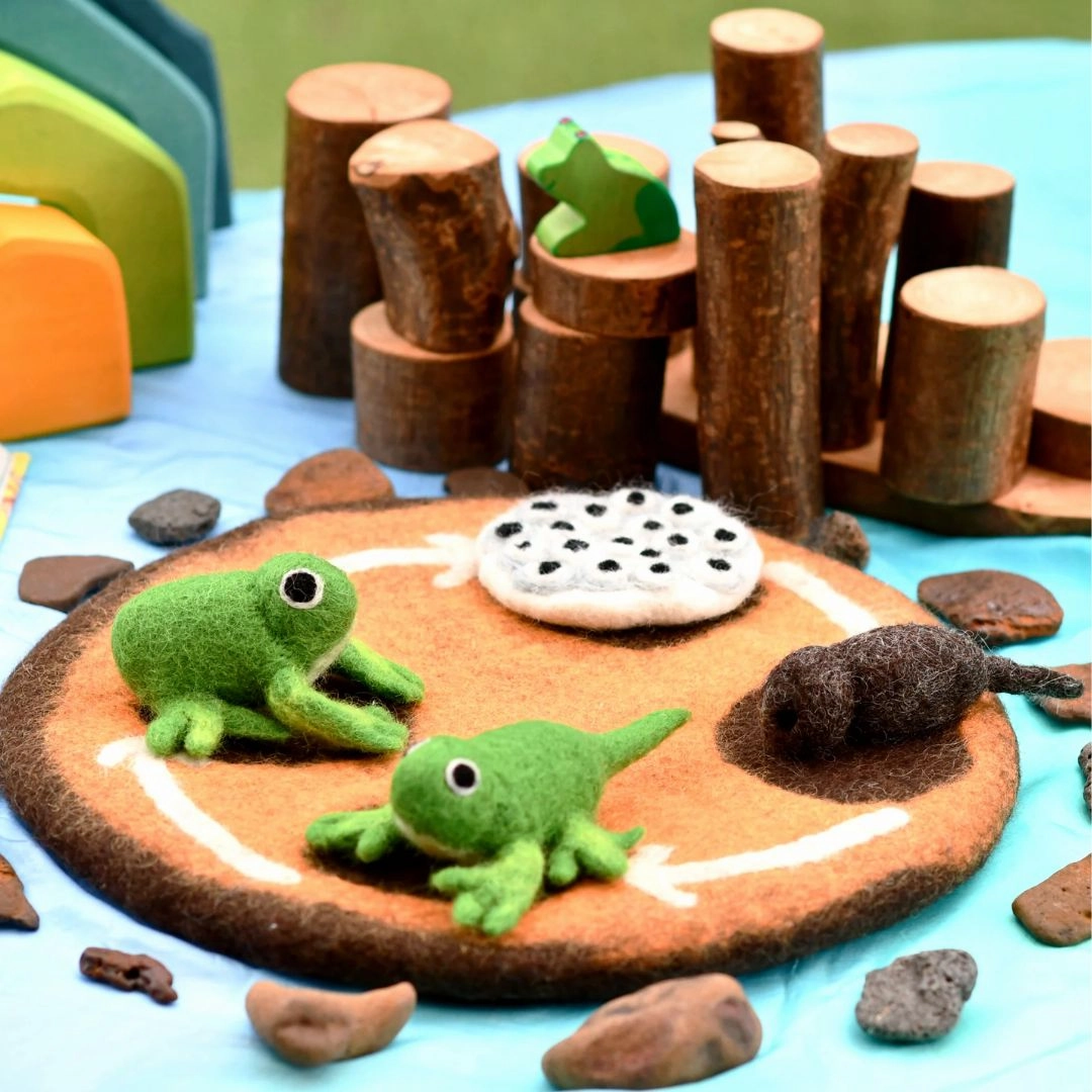 Felt Lifecycle of a Frog Set