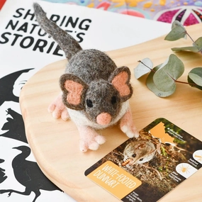 Felt White-Footed Dunnart