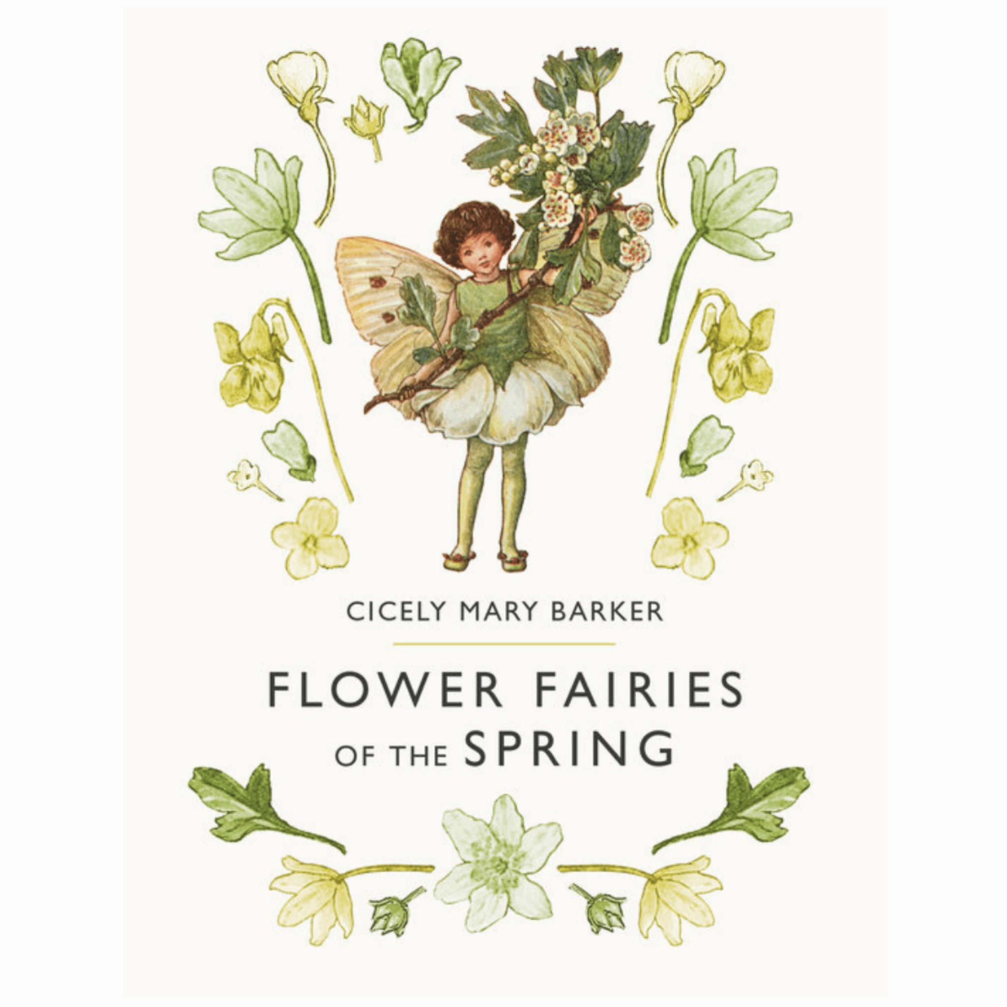 Flower Fairies of the Spring - Book