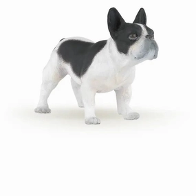 French Black and White Bulldog