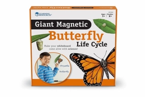 Giant Magnetic Butterfly Life Cycle