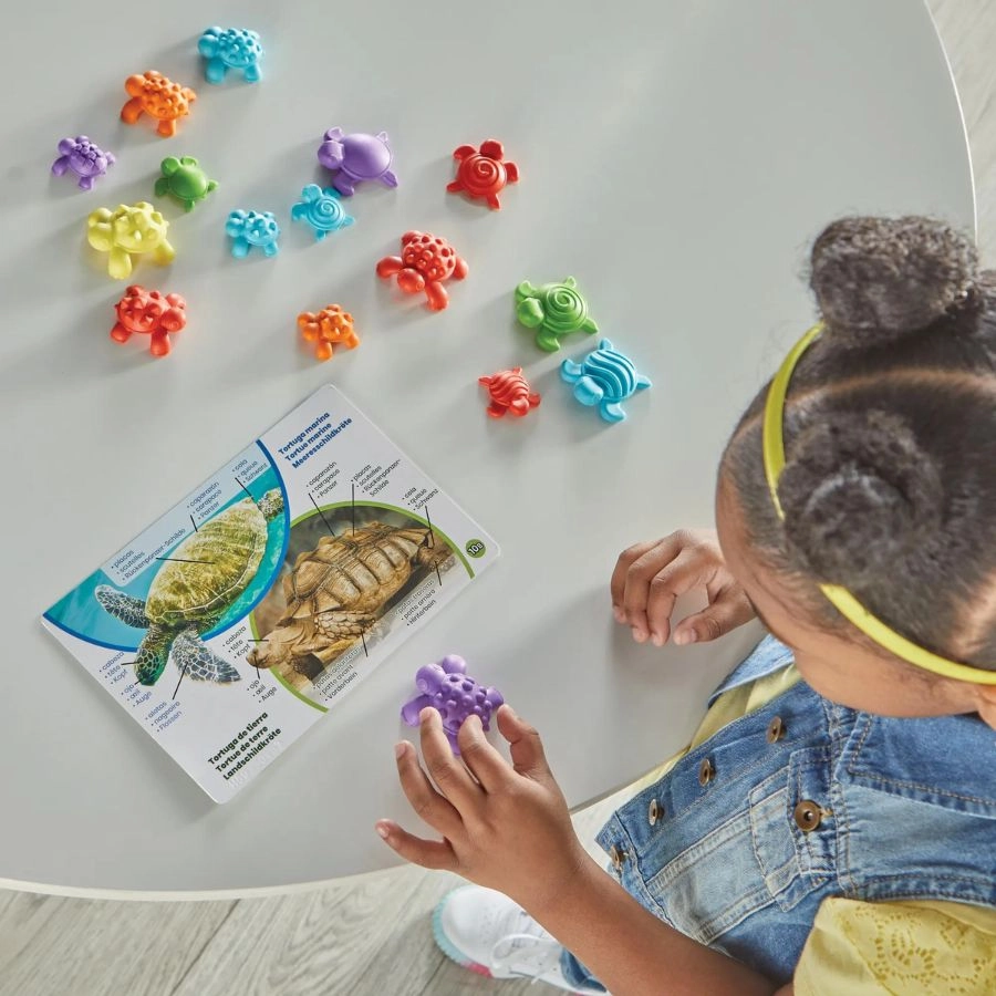 hand2mind - Tactile Turtles Math Activity Set