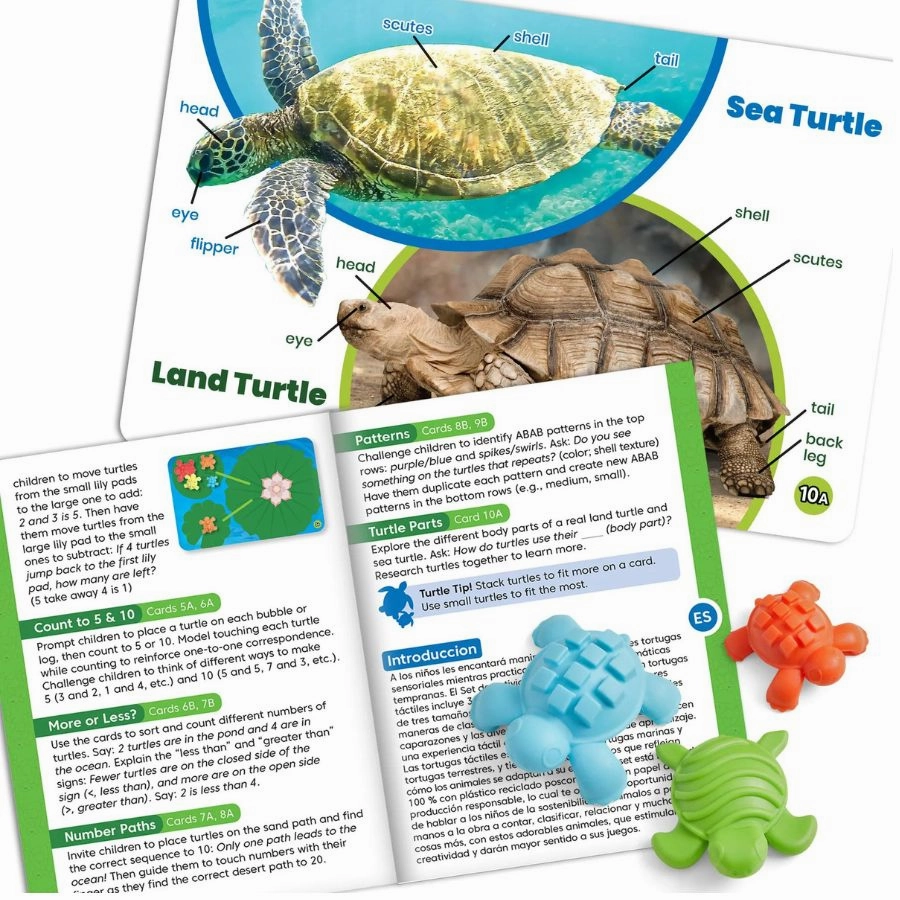 hand2mind - Tactile Turtles Math Activity Set