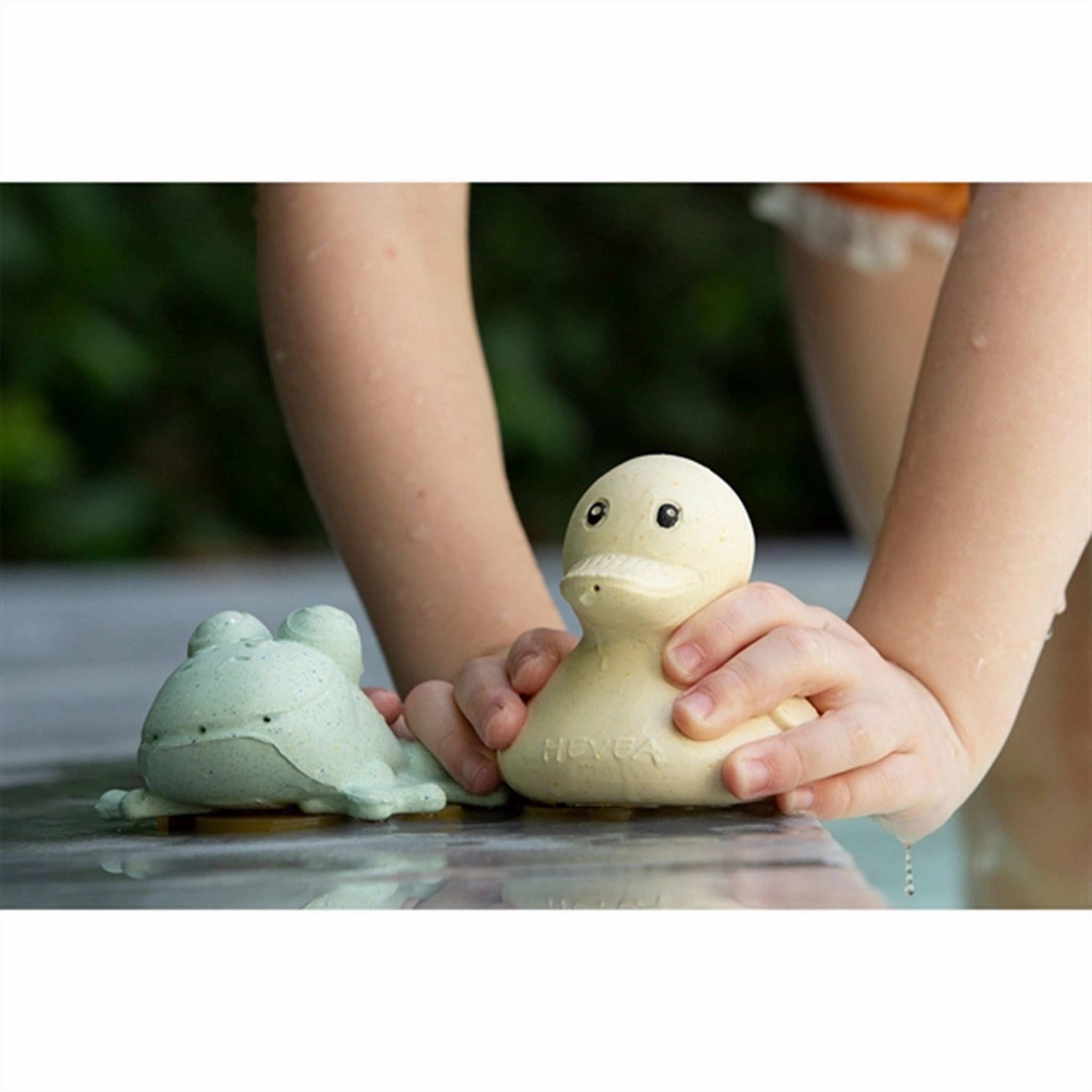Hevea Squeeze & Splash Rubberduck og Frog Set