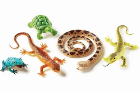 Jumbo Reptiles & Amphibians