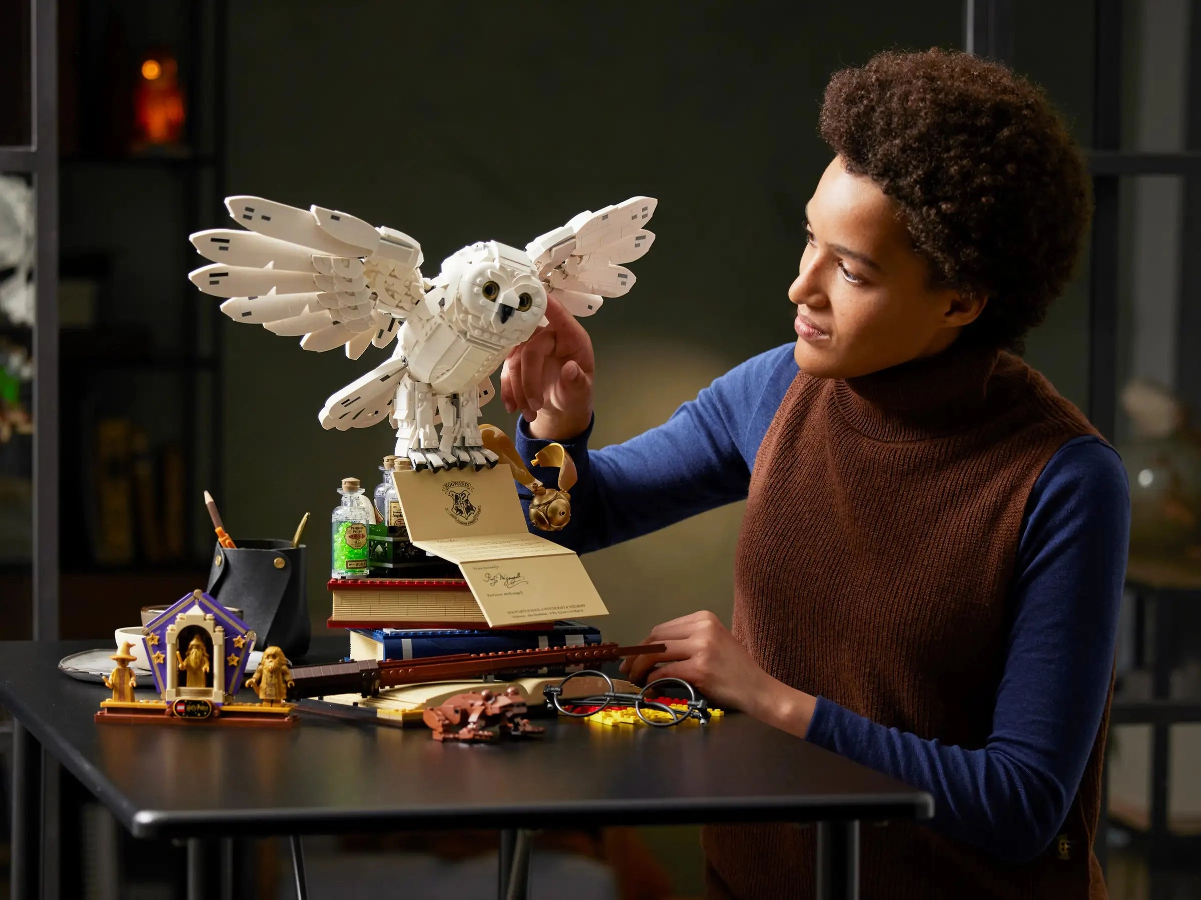 LEGO 76391 Harry Potter Hogwarts Icons - Collectors' Edition