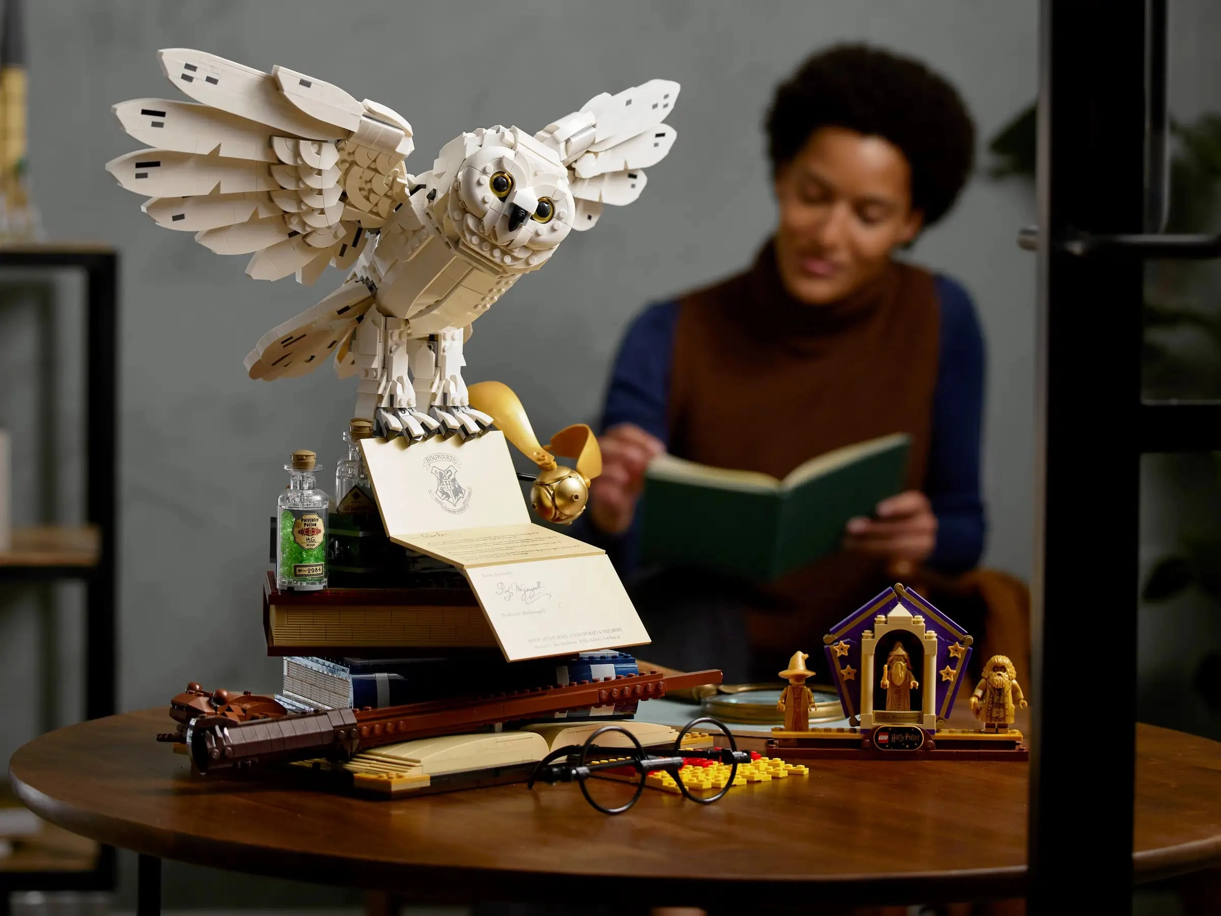 LEGO 76391 Harry Potter Hogwarts Icons - Collectors' Edition