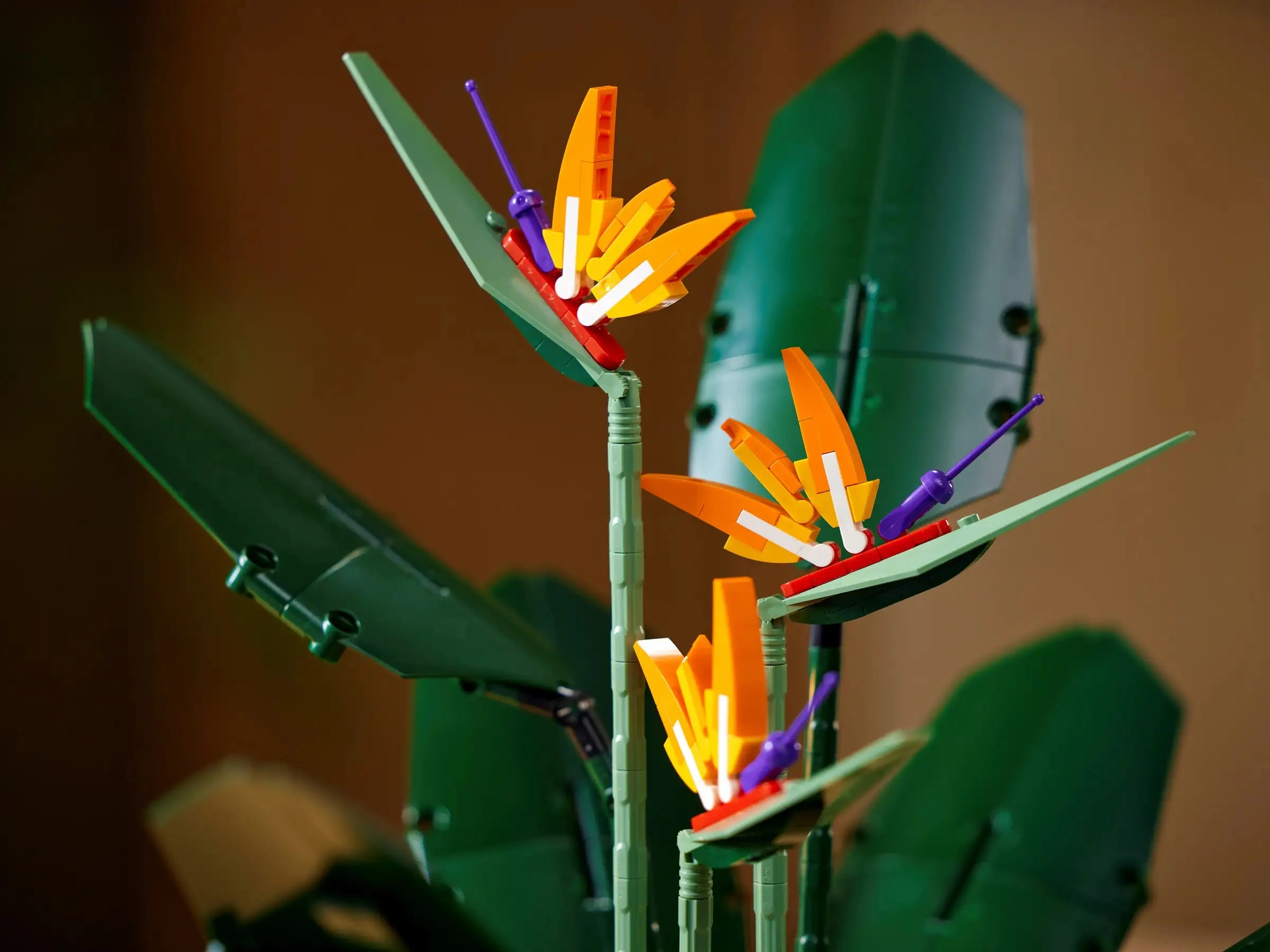 LEGO CREATOR 10289 Bird of Paradise