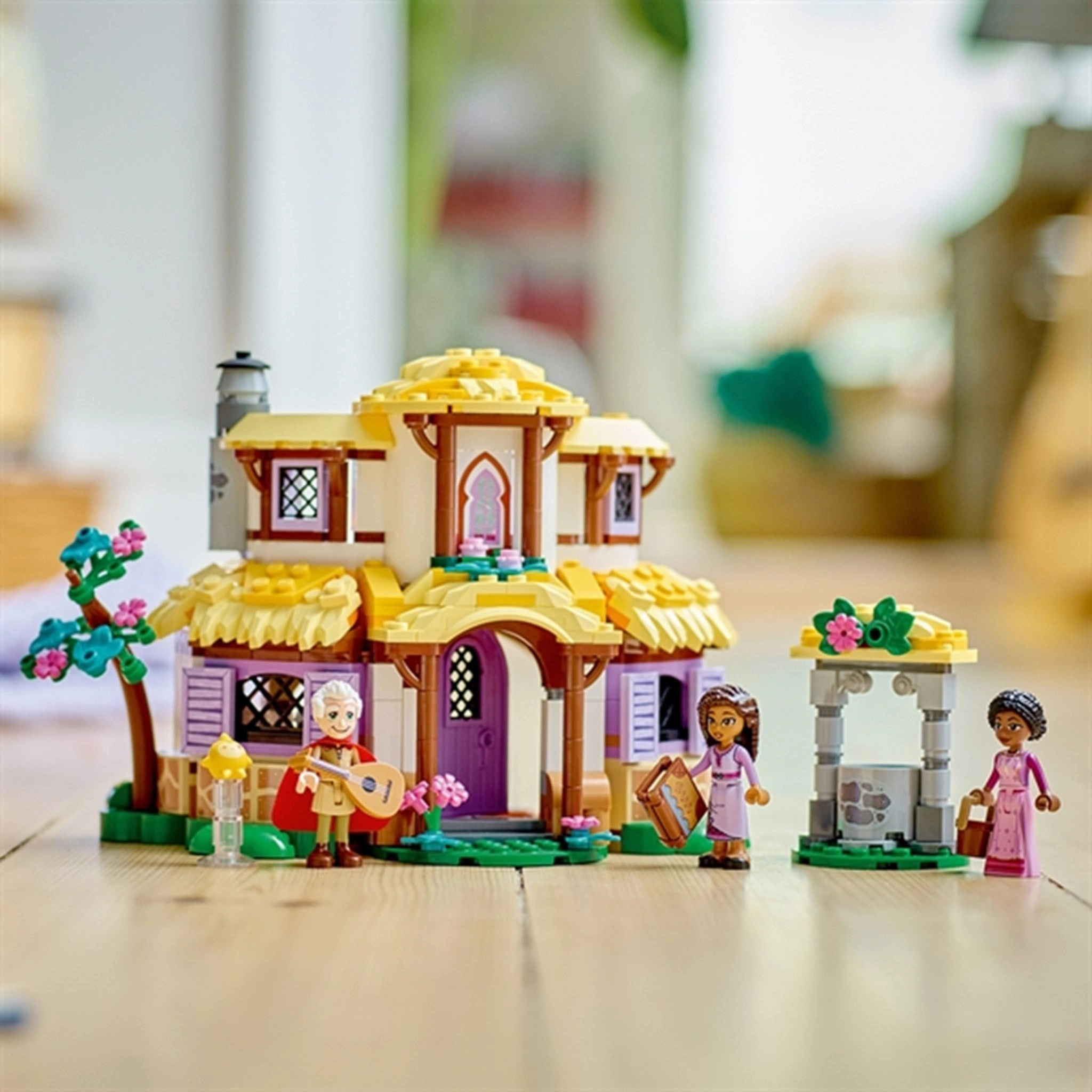 LEGO Disney Asha's Cottage