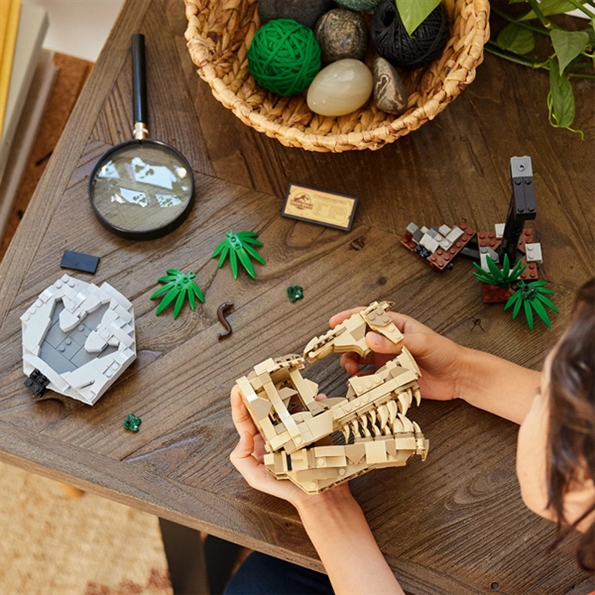 LEGO Jurassic World Dinosaur Fossils: T. Rex Skull