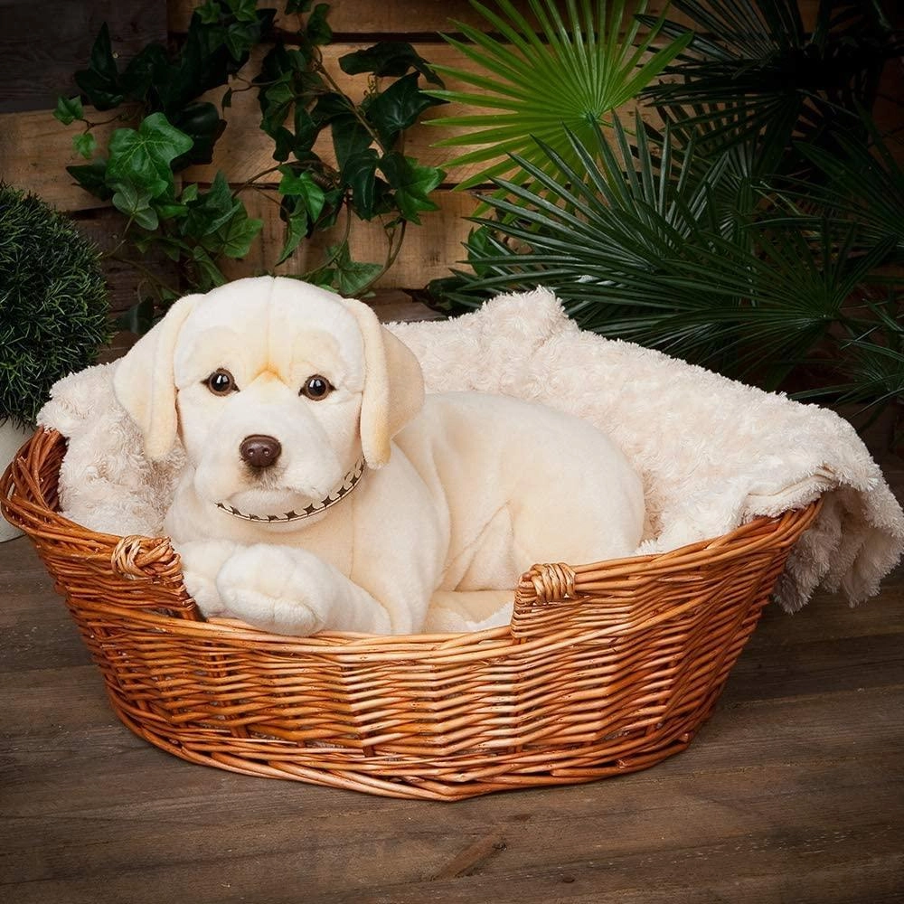 LIVING NATURE AN482 Giant Golden Labrador 60cm Soft Toy