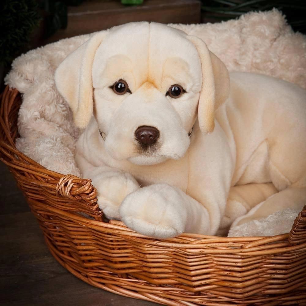 LIVING NATURE AN482 Giant Golden Labrador 60cm Soft Toy
